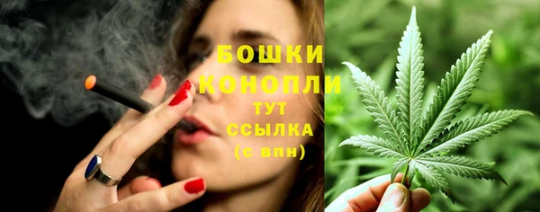 ПСИЛОЦИБИНОВЫЕ ГРИБЫ Навашино