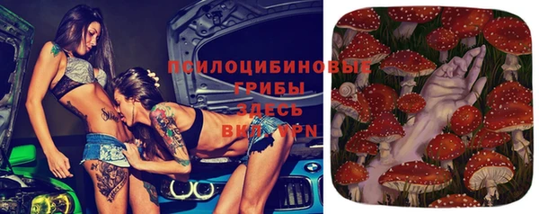 ALPHA PVP Нефтекумск