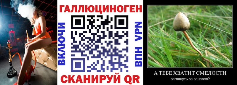 что такое   Ачхой-Мартан  мега tor  Галлюциногенные грибы ЛСД 
